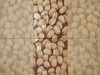 Series - Apples-1 . 2009. E. Kambina