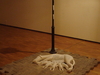 Night, street, lantern, a dog. 2011