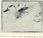 Abd-al-Khaya.-Duck.-miniature-begin-XV-age