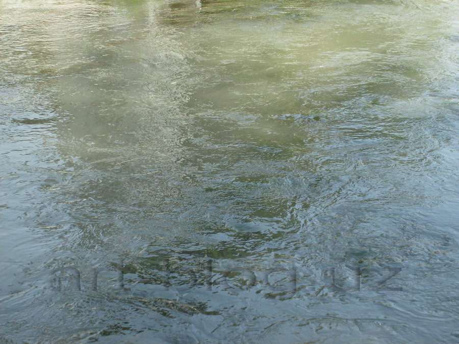 Вода речки возле Мовзалея Св. Даниила в Самарканде.