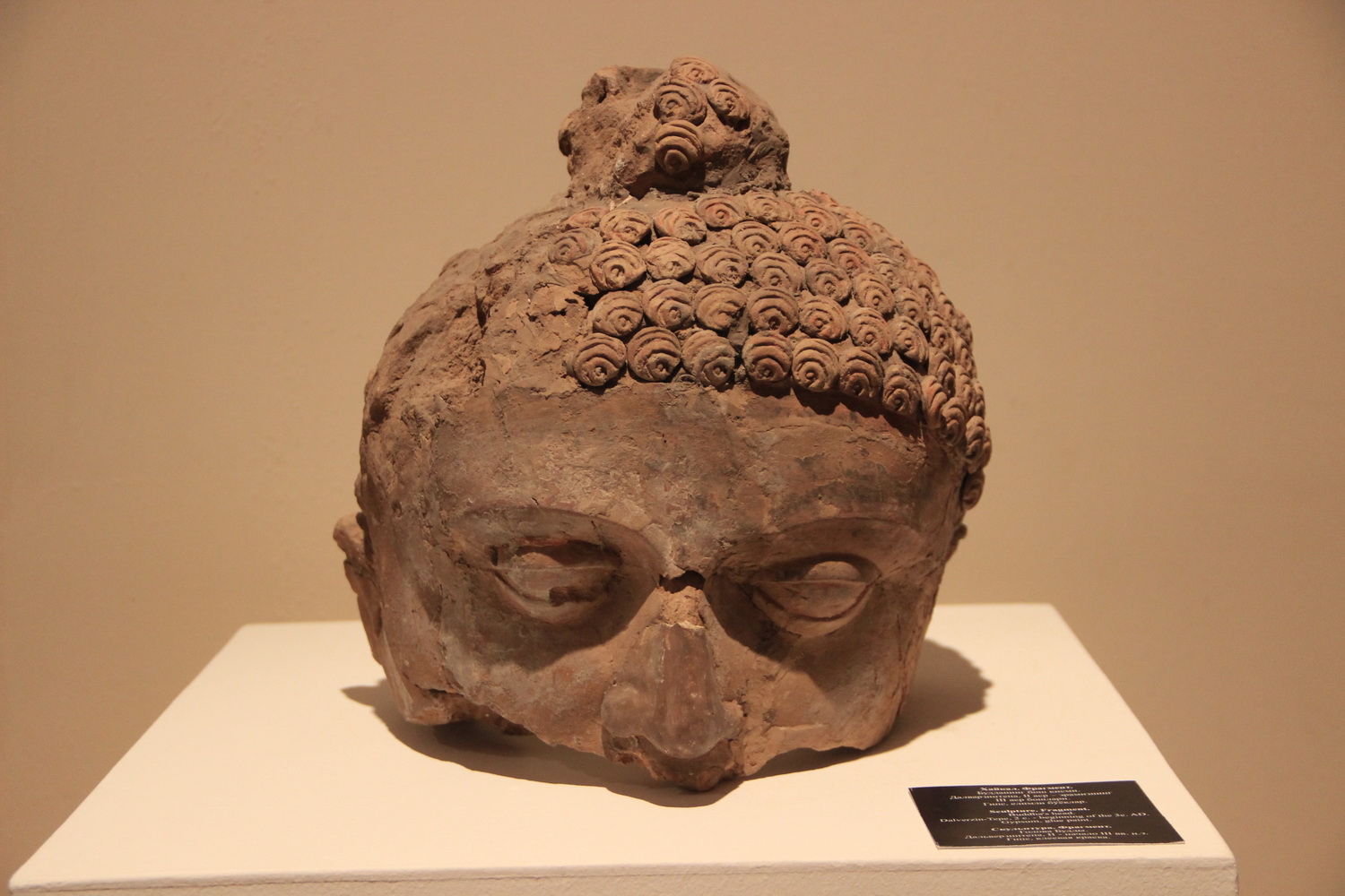 Скульптура. Фрагмент. Голова Будды. Дальверзин тепа. II в. начало. - III вв. н.э
