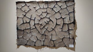 Гульжанат Кабижанова. (Казахстан)_ Такыр_2024. войлок , шерсть