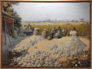 Урал Тансыкбаев. Сбор хлопка 1949