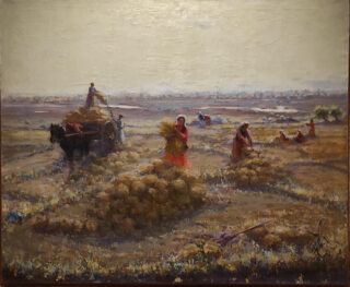 Урал Тансыкбаев. Сбор урожая в рисовом колхозе 1947