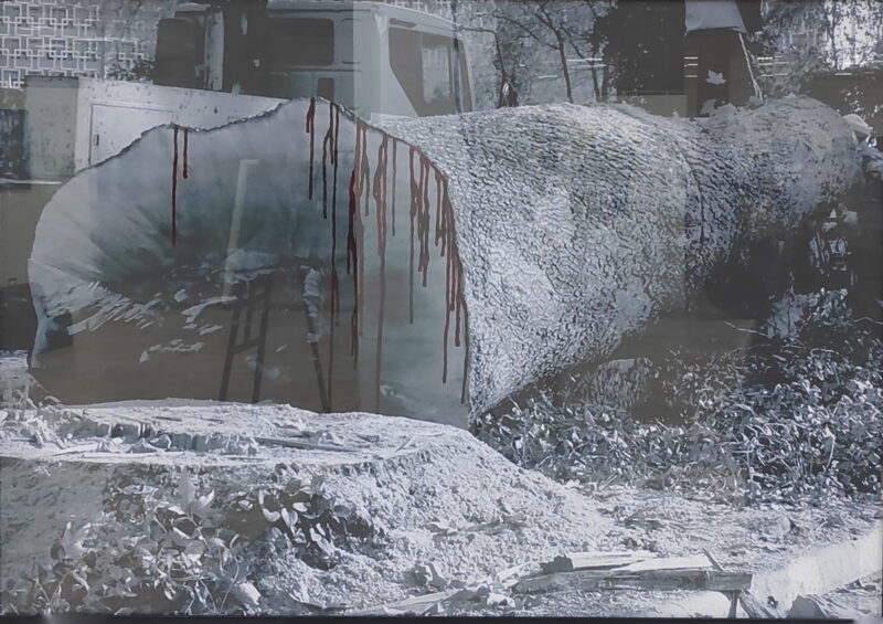 Эъзозабону Зокиржонова, Алексей Волосевич. Нить земли. 2025