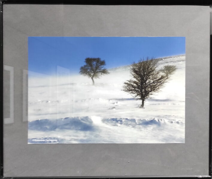 Гончаренко Владимир