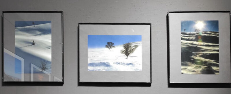 Гончаренко Владимир