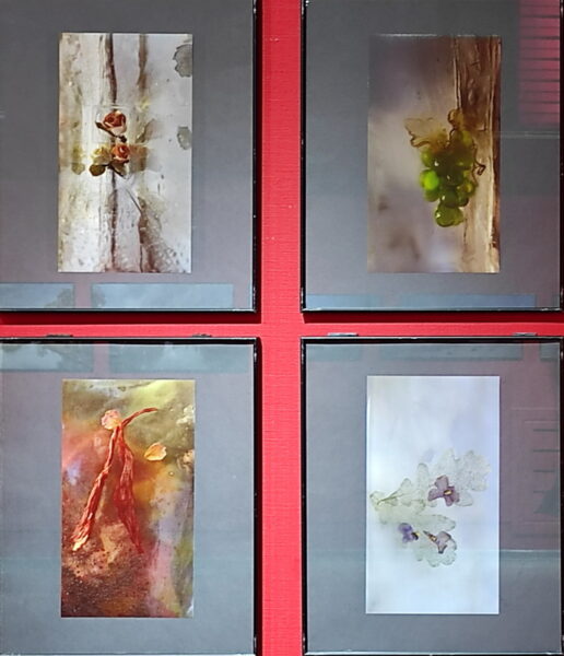 Иощук Натаья