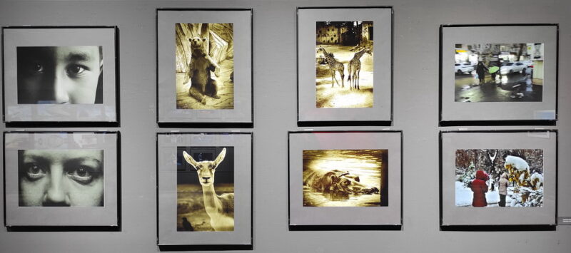 Карандаев Сергей