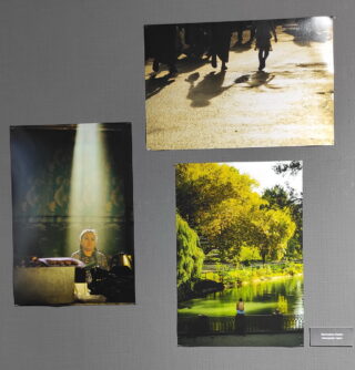 Махмудова Чарос