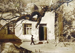 Розикулов Зафар