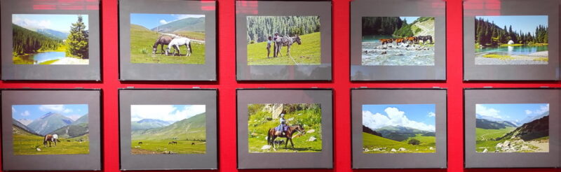 Володина Елена